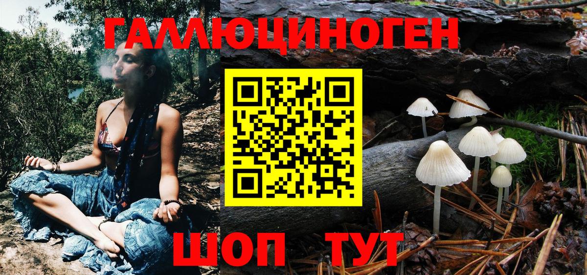 Галлюциногенные грибы мухоморы Азнакаево